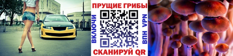 мега tor  Камышин  Псилоцибиновые грибы MAGIC MUSHROOMS 